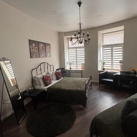 City Apartment Butas *